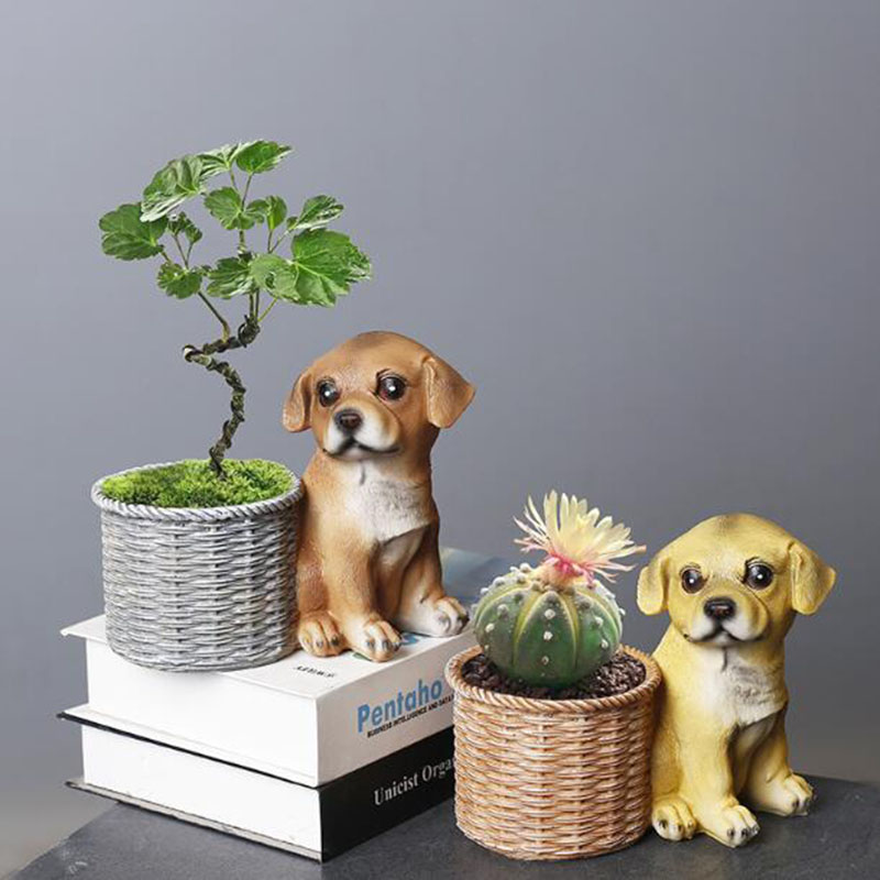 Ev Oturma Odası Ofis Reçine Bo - Bonsai Garden Art incelemesi ve fiyatı