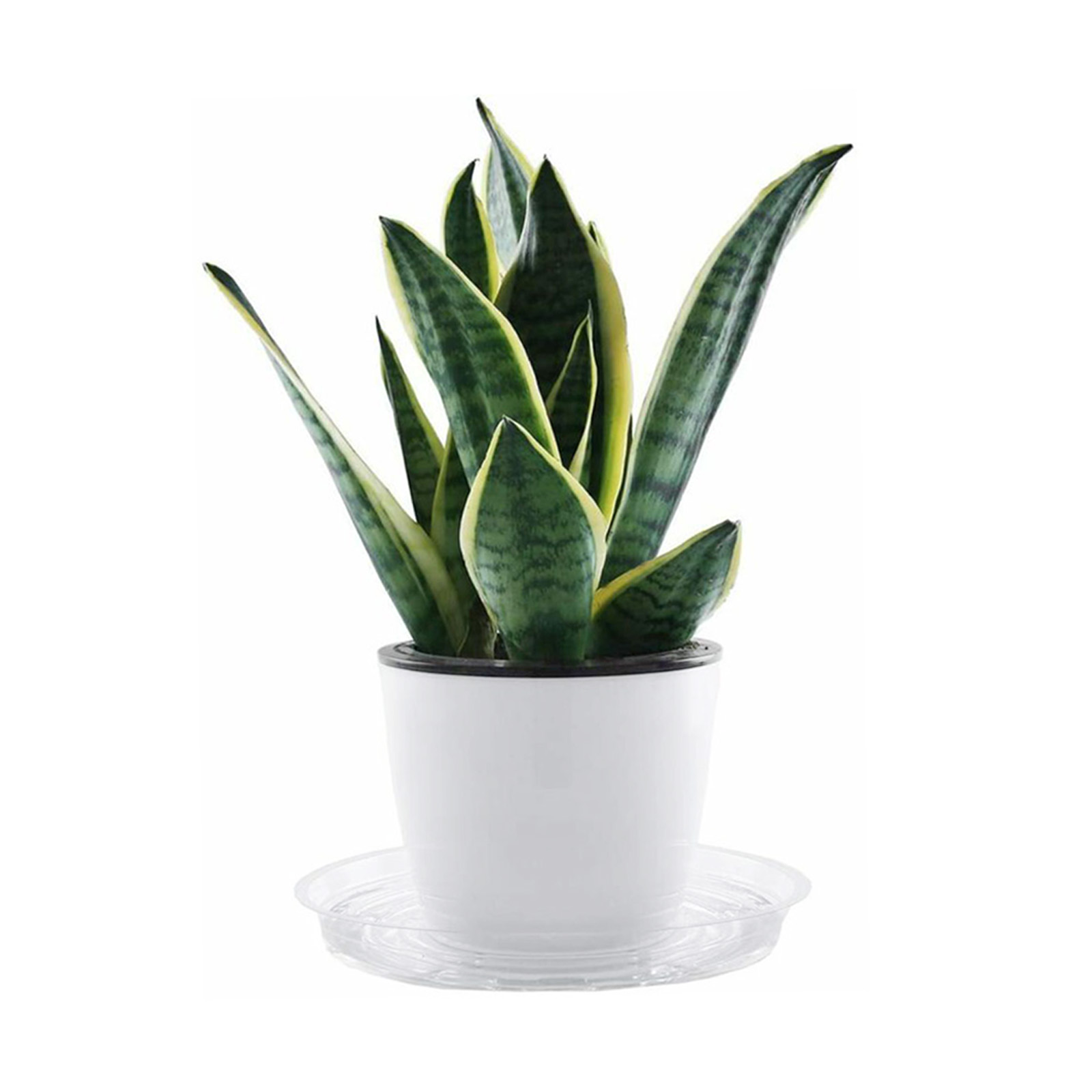 10 adet Bahçe Tesisi Tabağı Da - Drip Tray Saucer incelemesi ve fiyatı