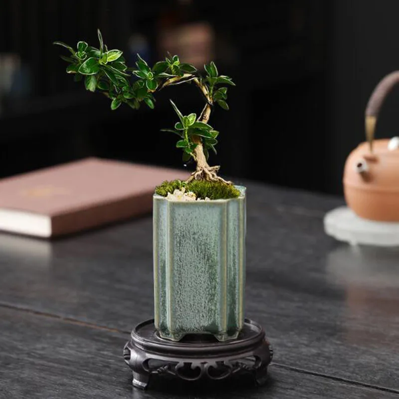 Porselen Kare Seladon Sırlı Or - Bonsai Garden Art incelemesi ve fiyatı