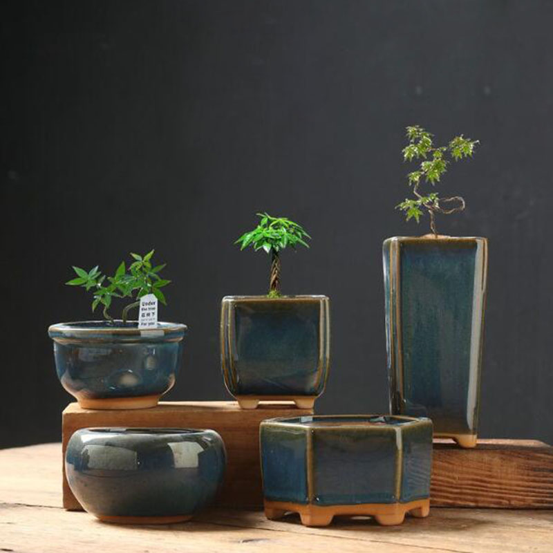 Fırınlanmış Sırlı Yumurta Kabu - Bonsai Garden Art incelemesi ve fiyatı