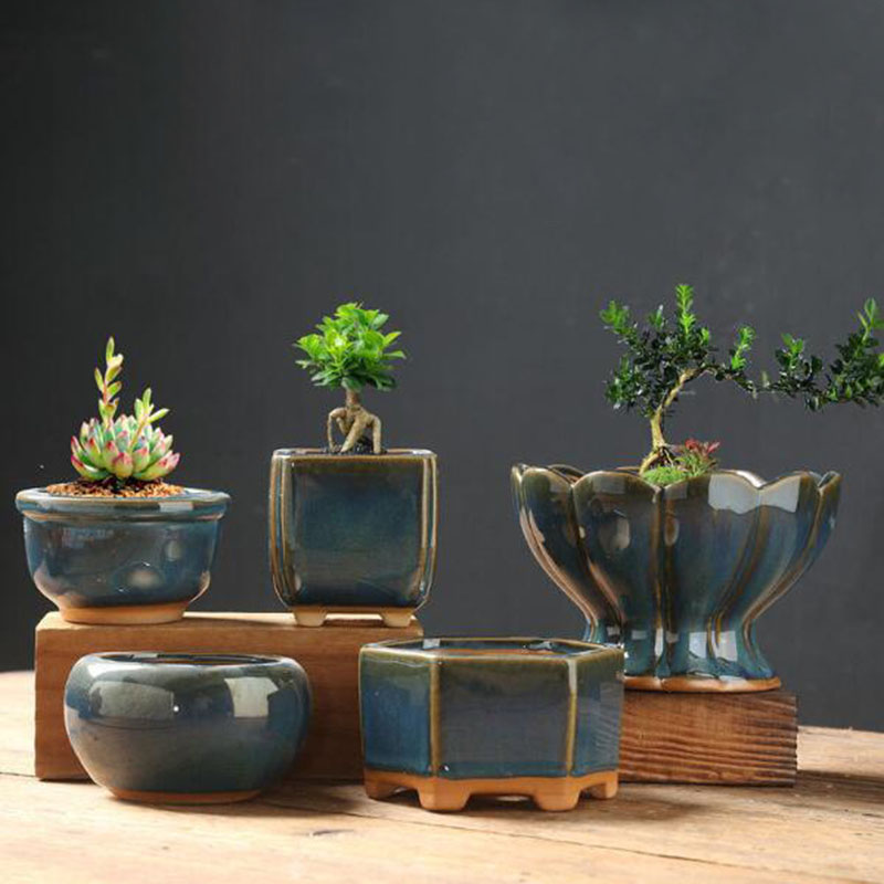 Fırınlanmış Sırlı Yumurta Kabu - Bonsai Garden Art incelemesi ve fiyatı